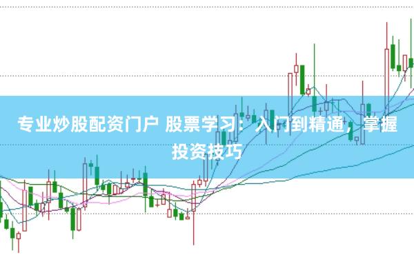 专业炒股配资门户 股票学习：入门到精通，掌握投资技巧