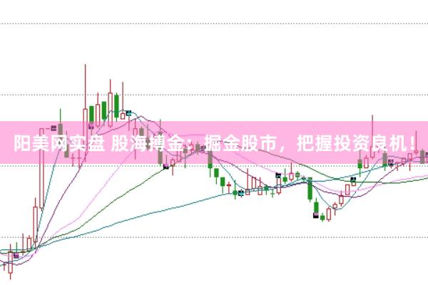 阳美网实盘 股海搏金:掘金股市,把握投资良机!