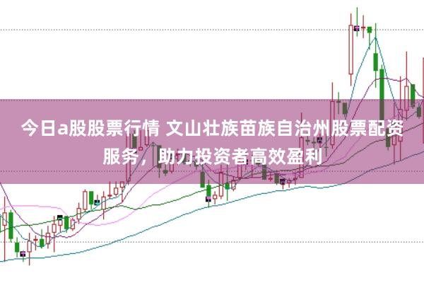 今日a股股票行情 文山壮族苗族自治州股票配资服务，助力投资者高效盈利