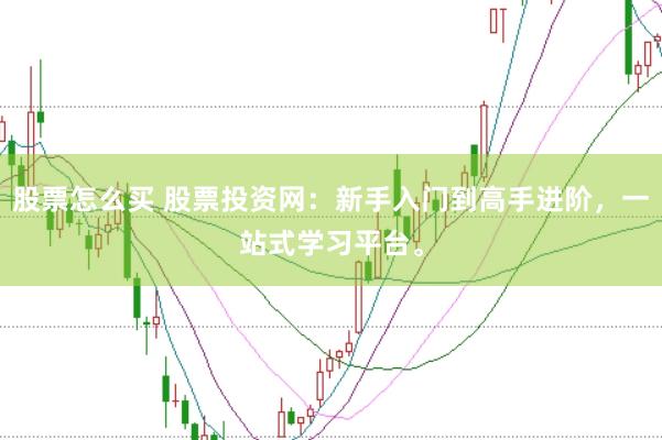 股票怎么买 股票投资网：新手入门到高手进阶，一站式学习平台。