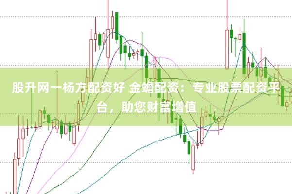 股升网一杨方配资好 金蟾配资：专业股票配资平台，助您财富增值
