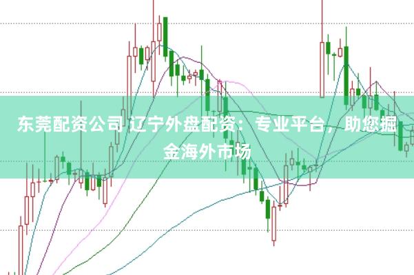 东莞配资公司 辽宁外盘配资：专业平台，助您掘金海外市场