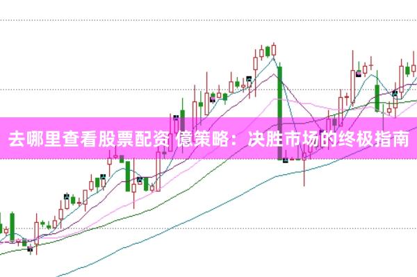 去哪里查看股票配资 億策略：决胜市场的终极指南
