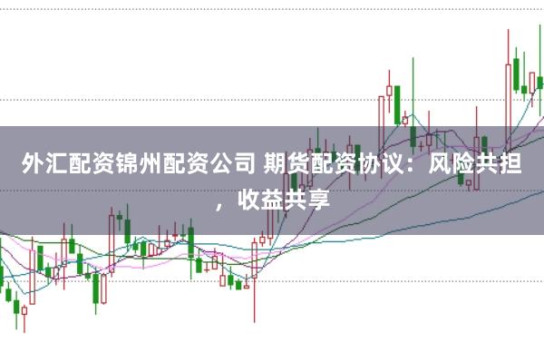 外汇配资锦州配资公司 期货配资协议：风险共担，收益共享