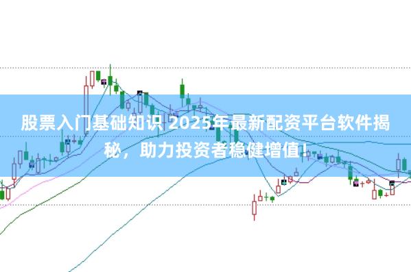 股票入门基础知识 2025年最新配资平台软件揭秘，助力投资者稳健增值！