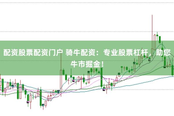 配资股票配资门户 骑牛配资：专业股票杠杆，助您牛市掘金！