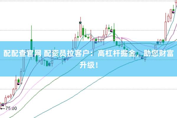 配配查官网 配资员拉客户:高杠杆掘金,助您财富升级!