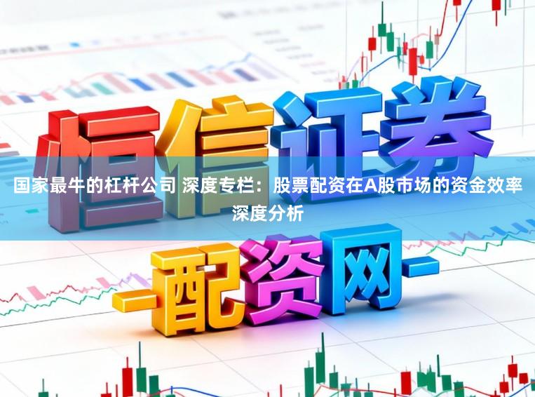 国家最牛的杠杆公司 深度专栏：股票配资在A股市场的资金效率深度分析