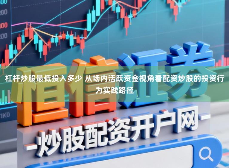 杠杆炒股最低投入多少 从场内活跃资金视角看配资炒股的投资行为实践路径