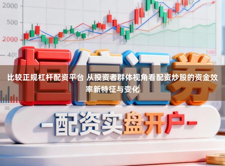 比较正规杠杆配资平台 从投资者群体视角看配资炒股的资金效率新特征与变化